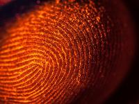 指纹识别危险了 美国政府560万份指纹被盗