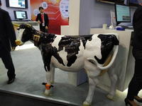 富士通MWC上展示养牛神器：终身大事就靠它啦！
