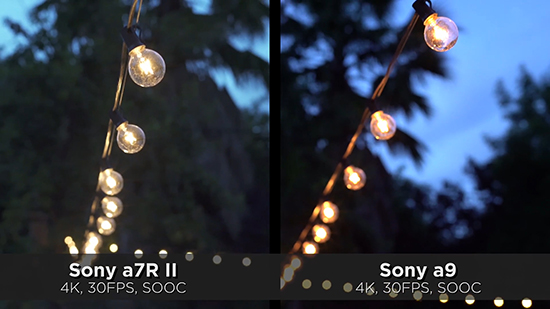 索尼A9对比A7R2感光度测试：越贵真的越好？