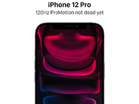 顶配独享120Hz屏？苹果iPhone 12 Pro Max真安排上了